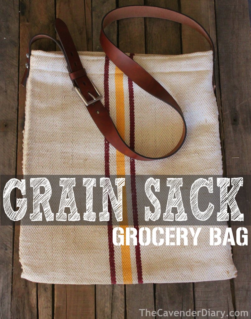 Grain Sack Grocery Bag from the Cavender Diary Boys