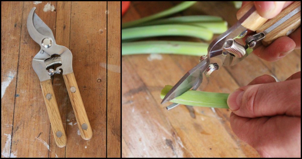 Sharp Clippers to Cut Each Stem at a 45 Degree Angle