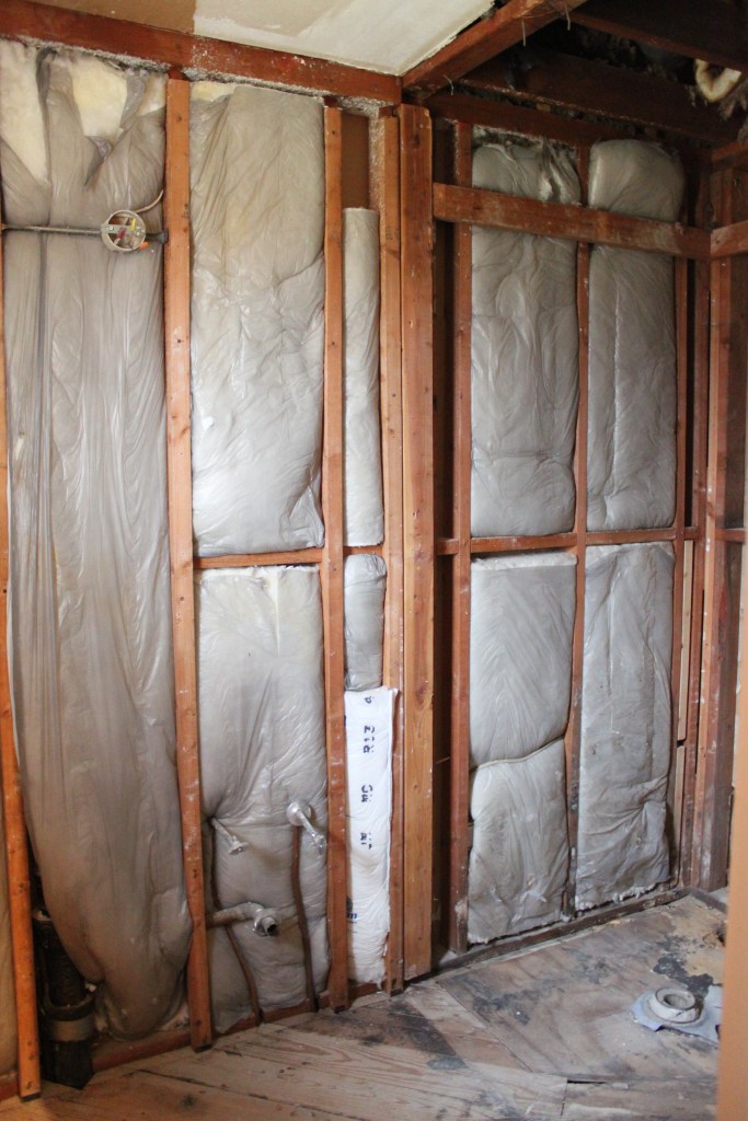 Master Bathroom Shower Wall