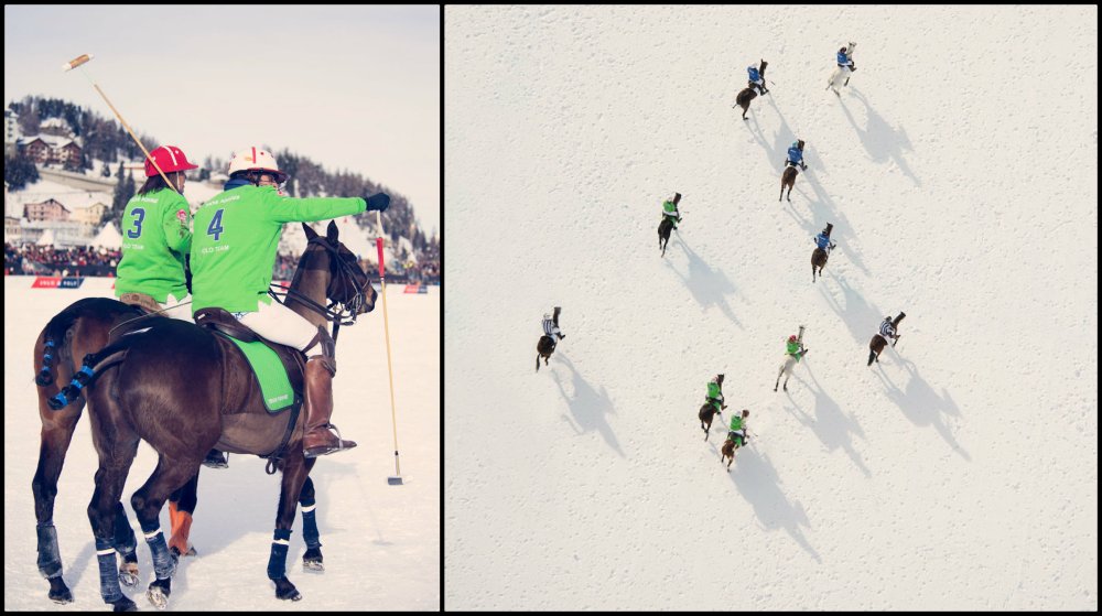 Gray Malin Winter Polo Collage
