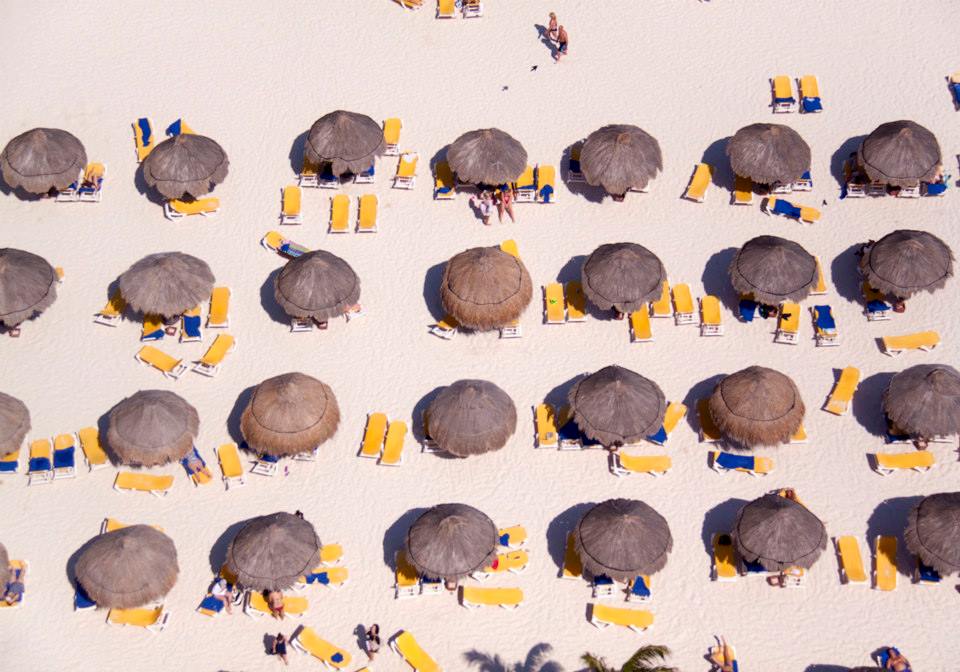 Il Principe Ranocchio by Gray Malin