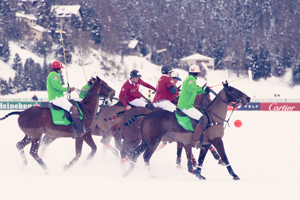 The Fight by Gray Malin