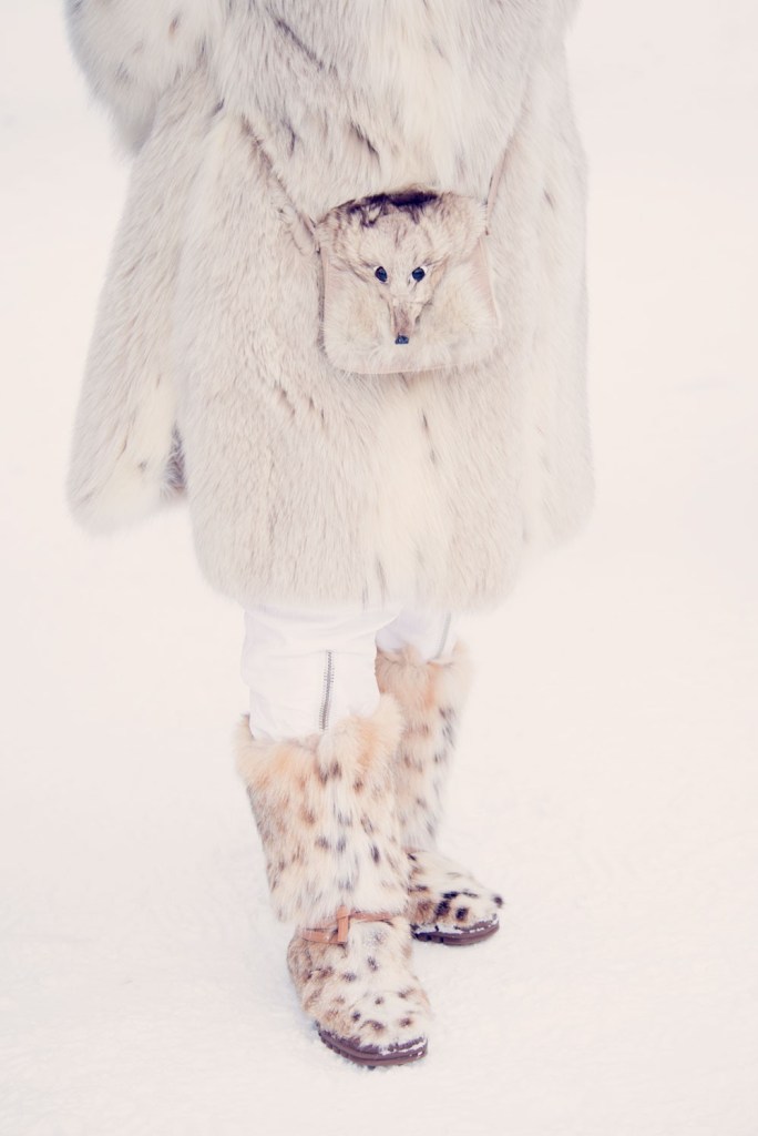 The Fox by Gray Malin