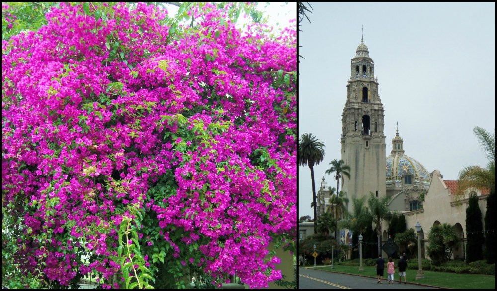 Balboa Park Collage