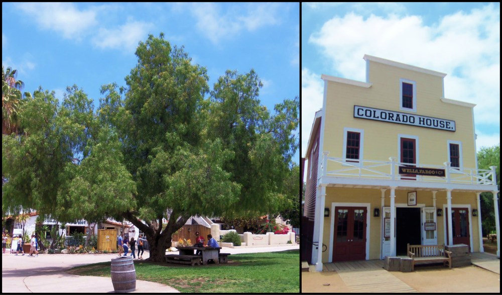 Old Town San Diego Collage 2
