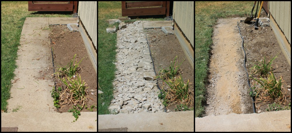 Evolution of the Removal of the Goffy Sidewalk Collage