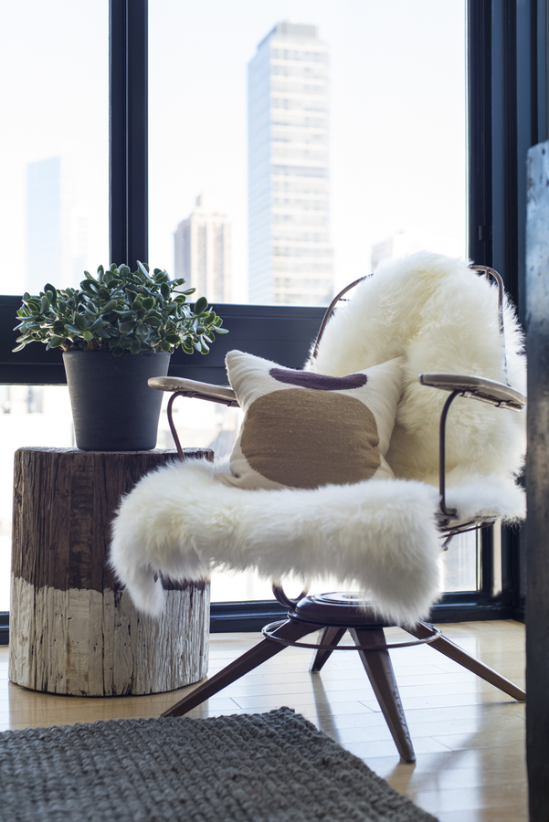 Ronan Farrow's Living Room 4