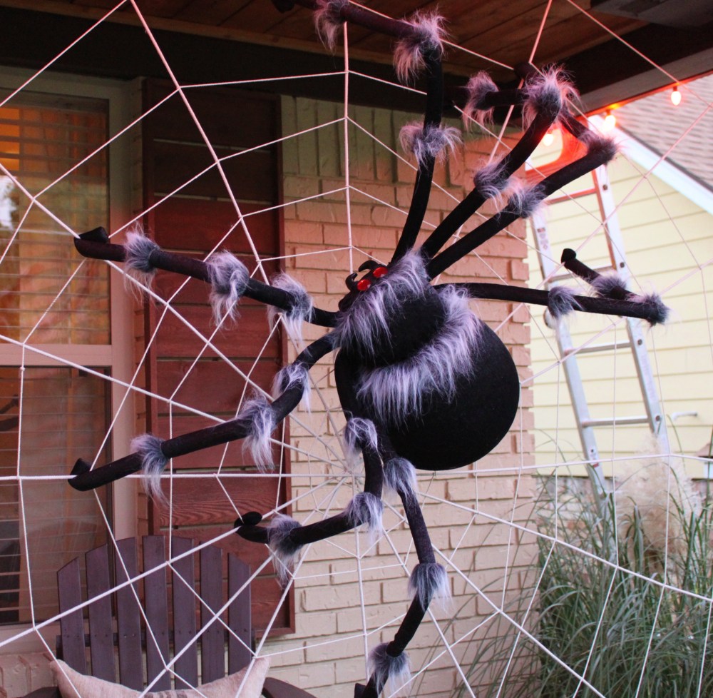 The Big Fat Store-Bought Spider in my Web