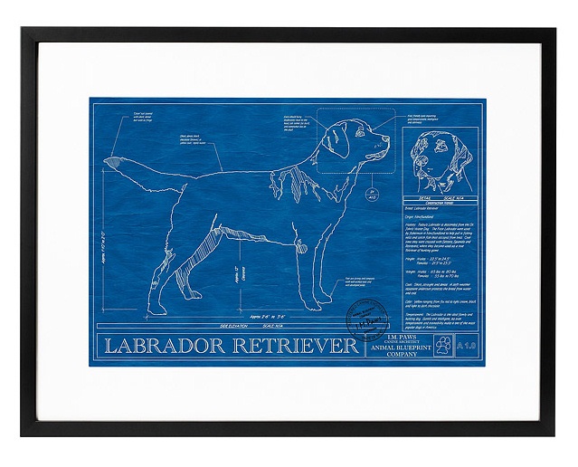 Dog Blueprints from Uncommon Goods