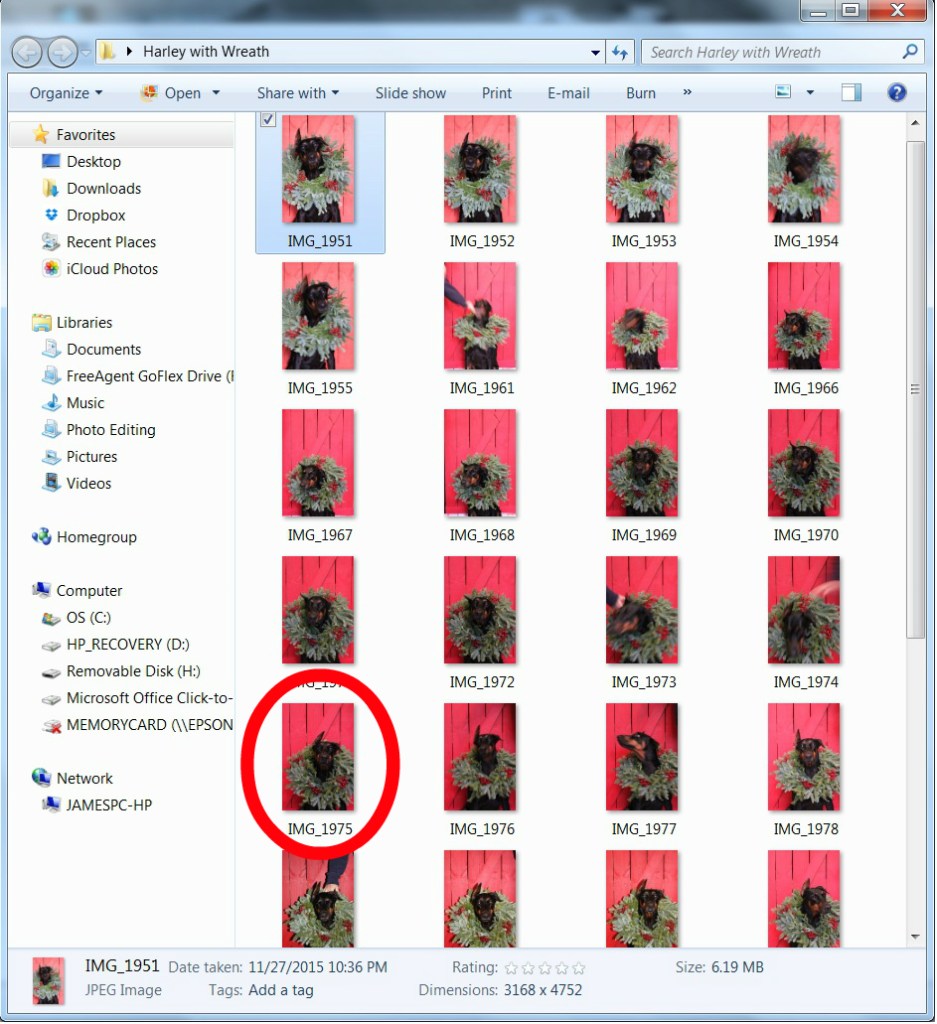 Test Sheet of Harley Wreath Pictures 1