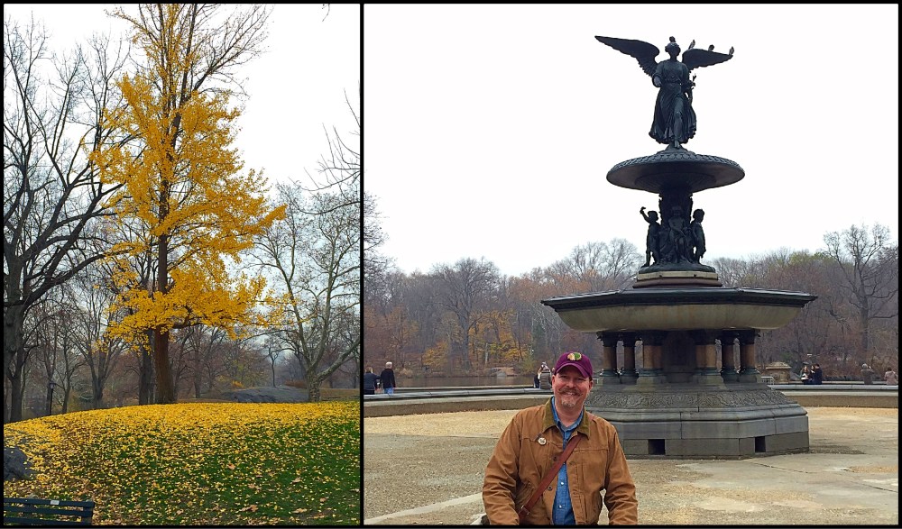 Central Park Collage