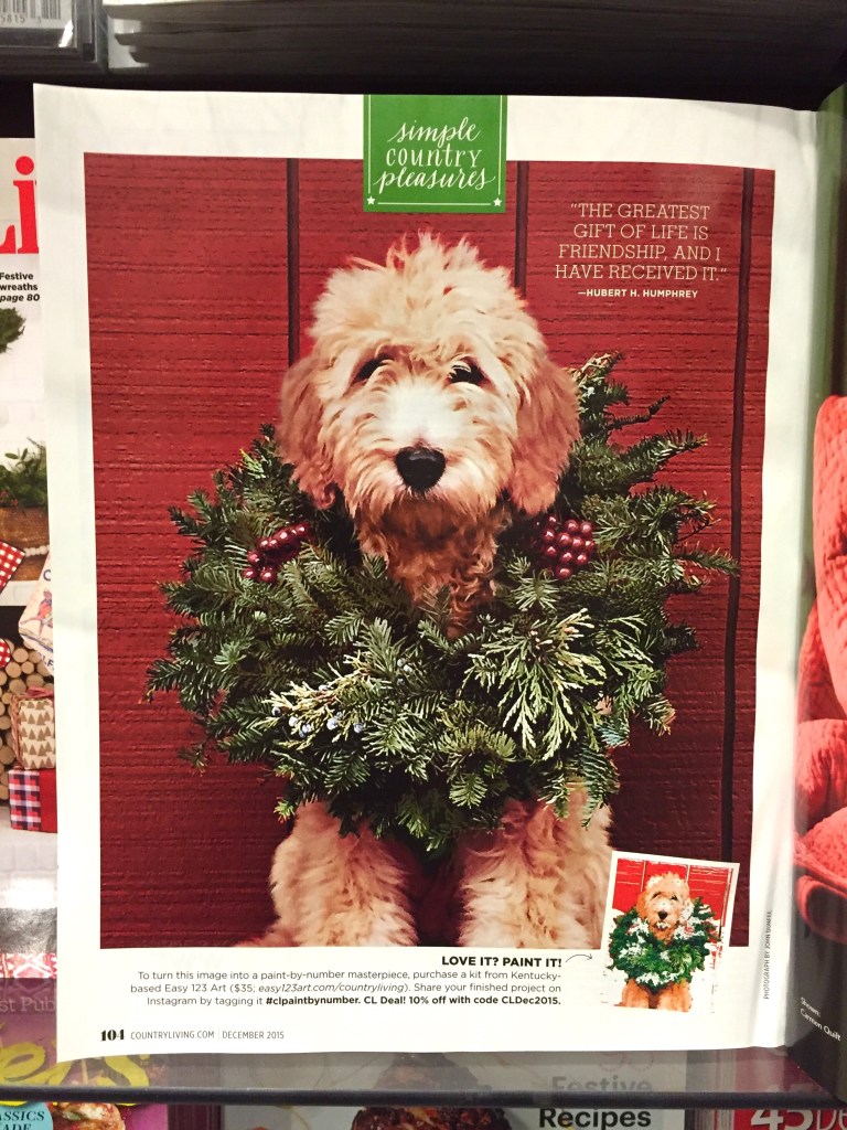 Country Living December Issue 2015 Last Page