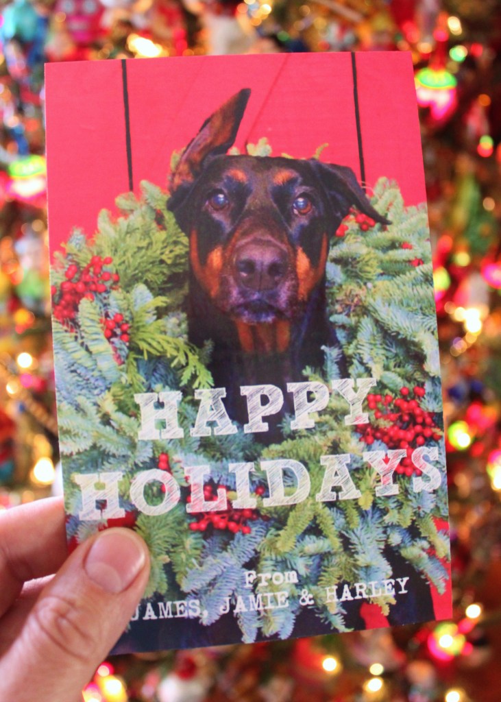 Harley Davidson on the Cover of our 2015 Christmas Card