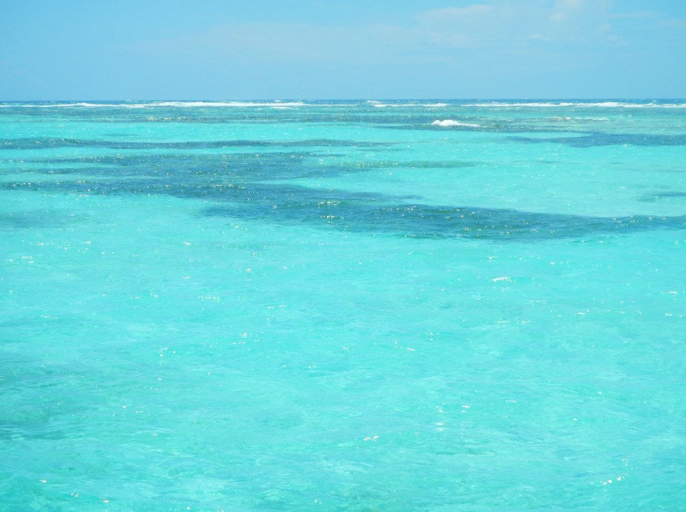 That Beautiful Turquoise Ocean