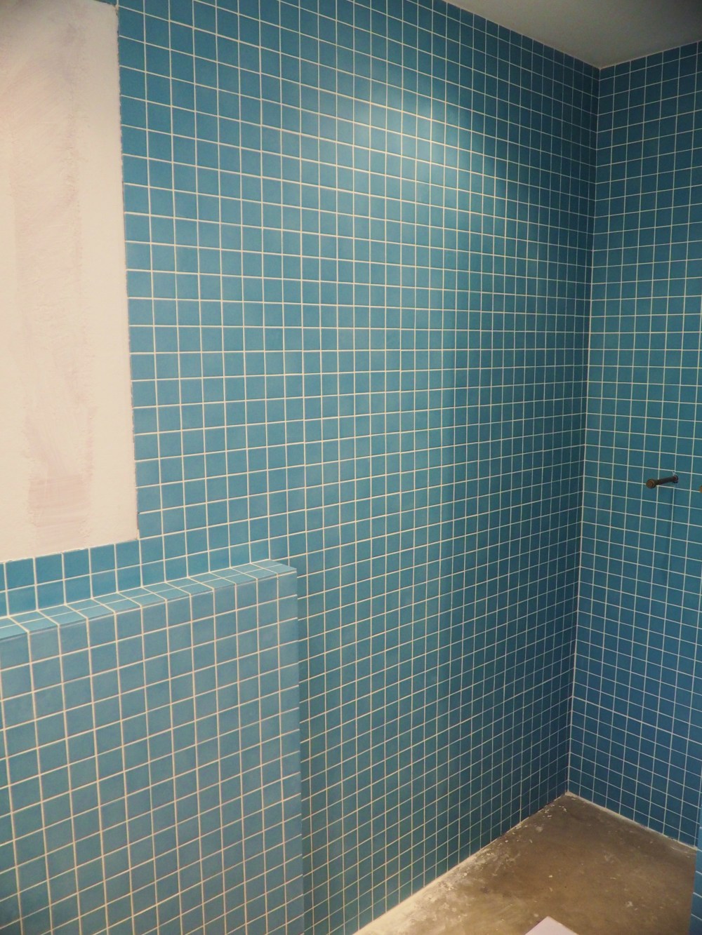 main-wall-of-the-master-abthroom-covered-in-tile-with-grout