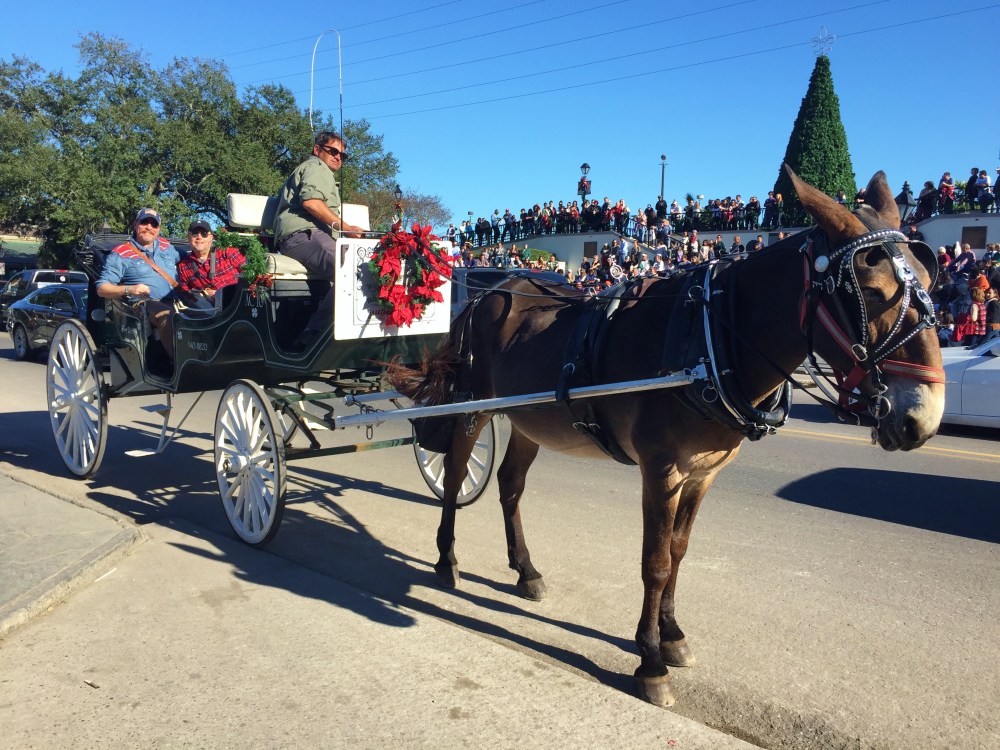 james-and-jamie-in-the-back-of-the-carridge