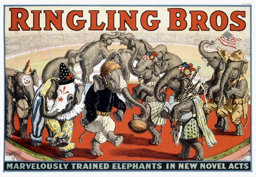 Ringling Bros Dancing Elephants Poster