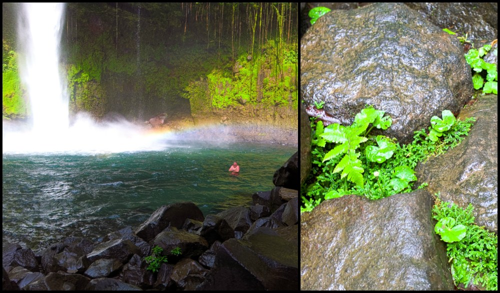 La Fortuna Waterfall Collage