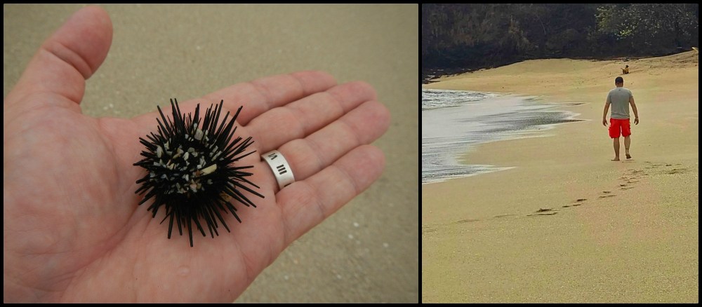 Playa Conchal Collage