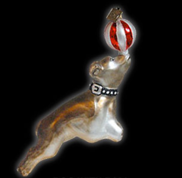 Eric Cortina Dog with BAll Glass Ornament