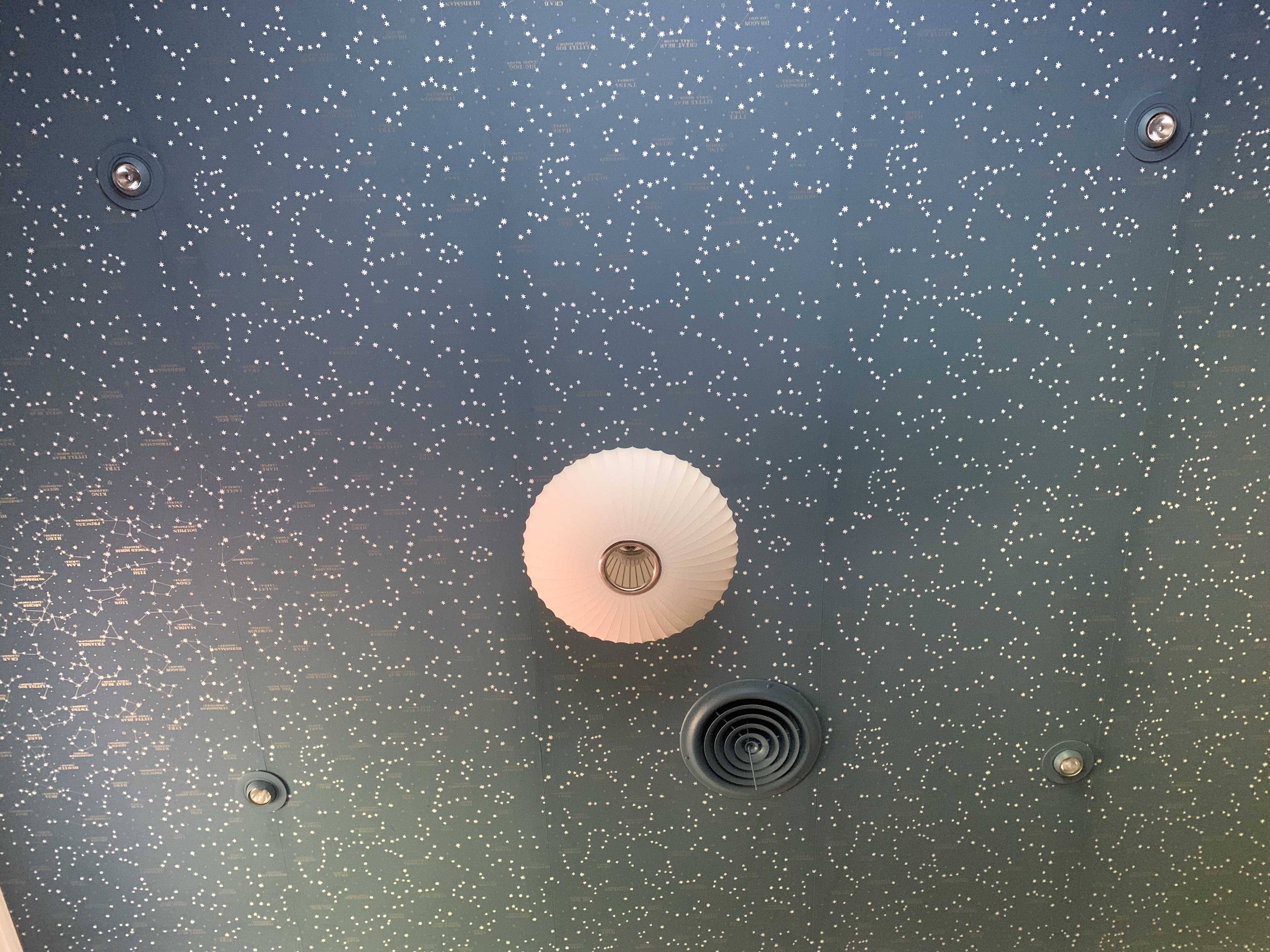 Finished Ceiling with Ralph Lauren Northern Hemisphere Wallpaper