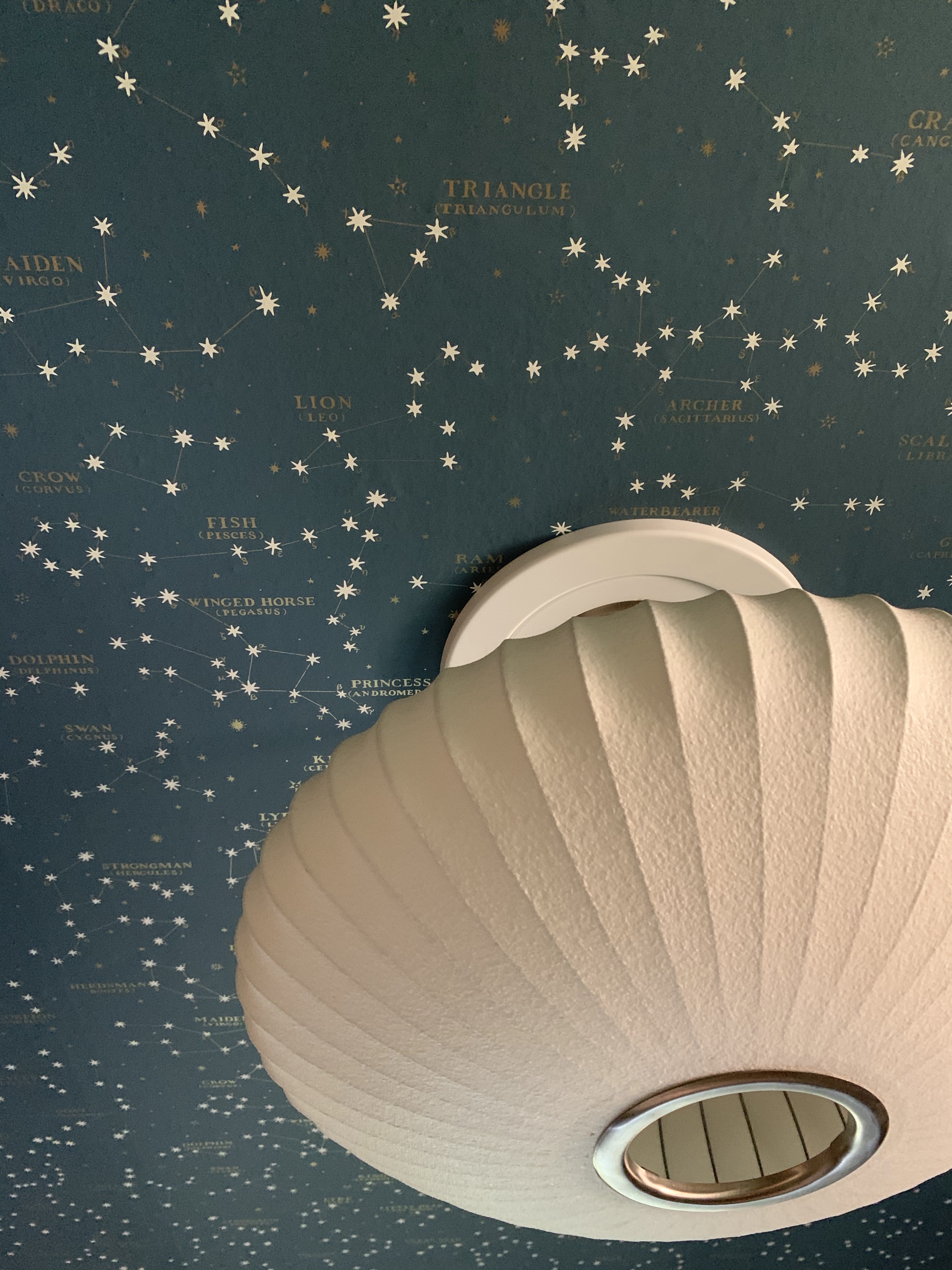 Nelson Saucer Lamp Against Ralph Lauren Northern Hemisphere Wallpaper