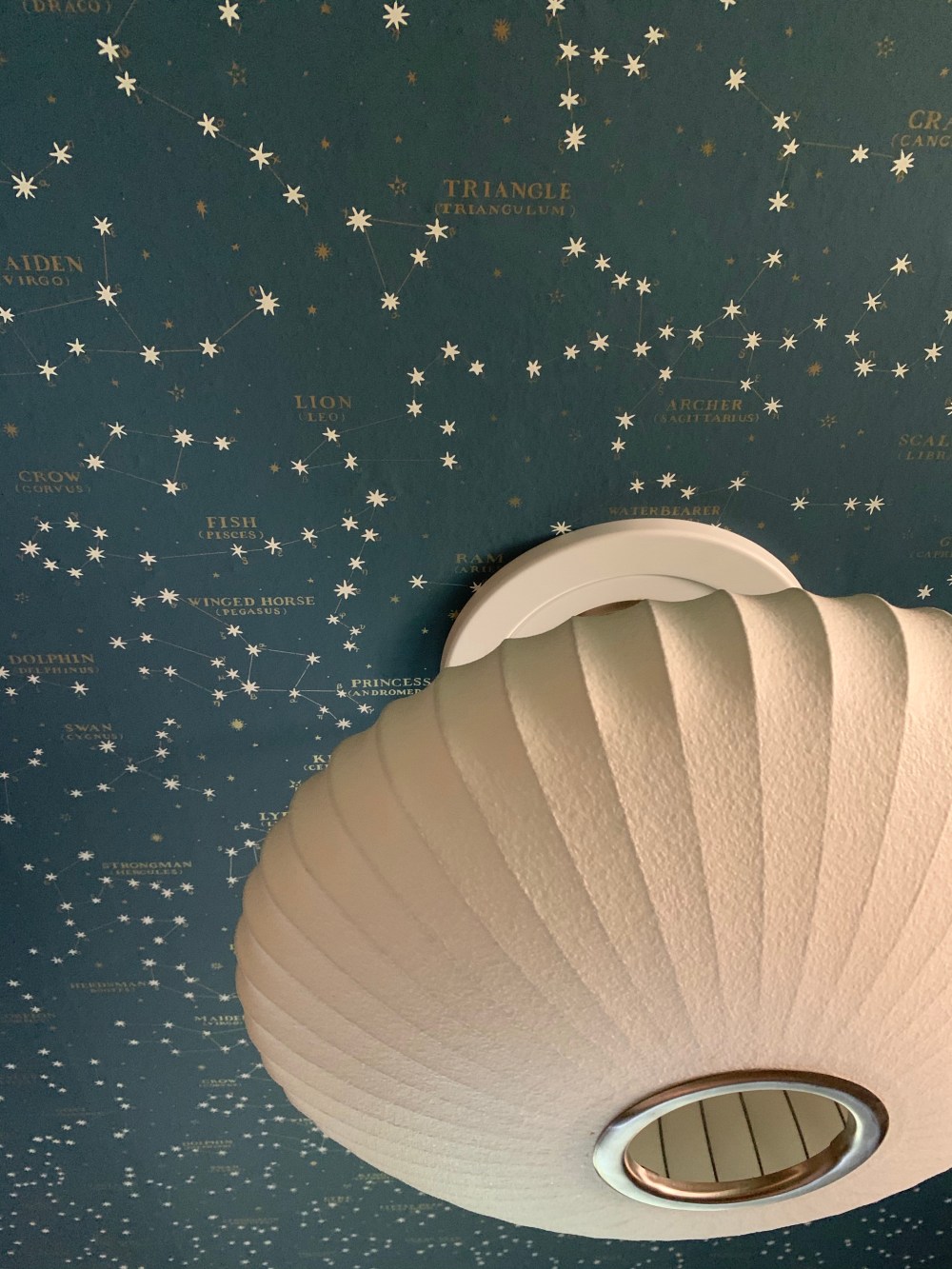 Nelson Saucer Lamp Against Ralph Lauren Northern Hemisphere Wallpaper