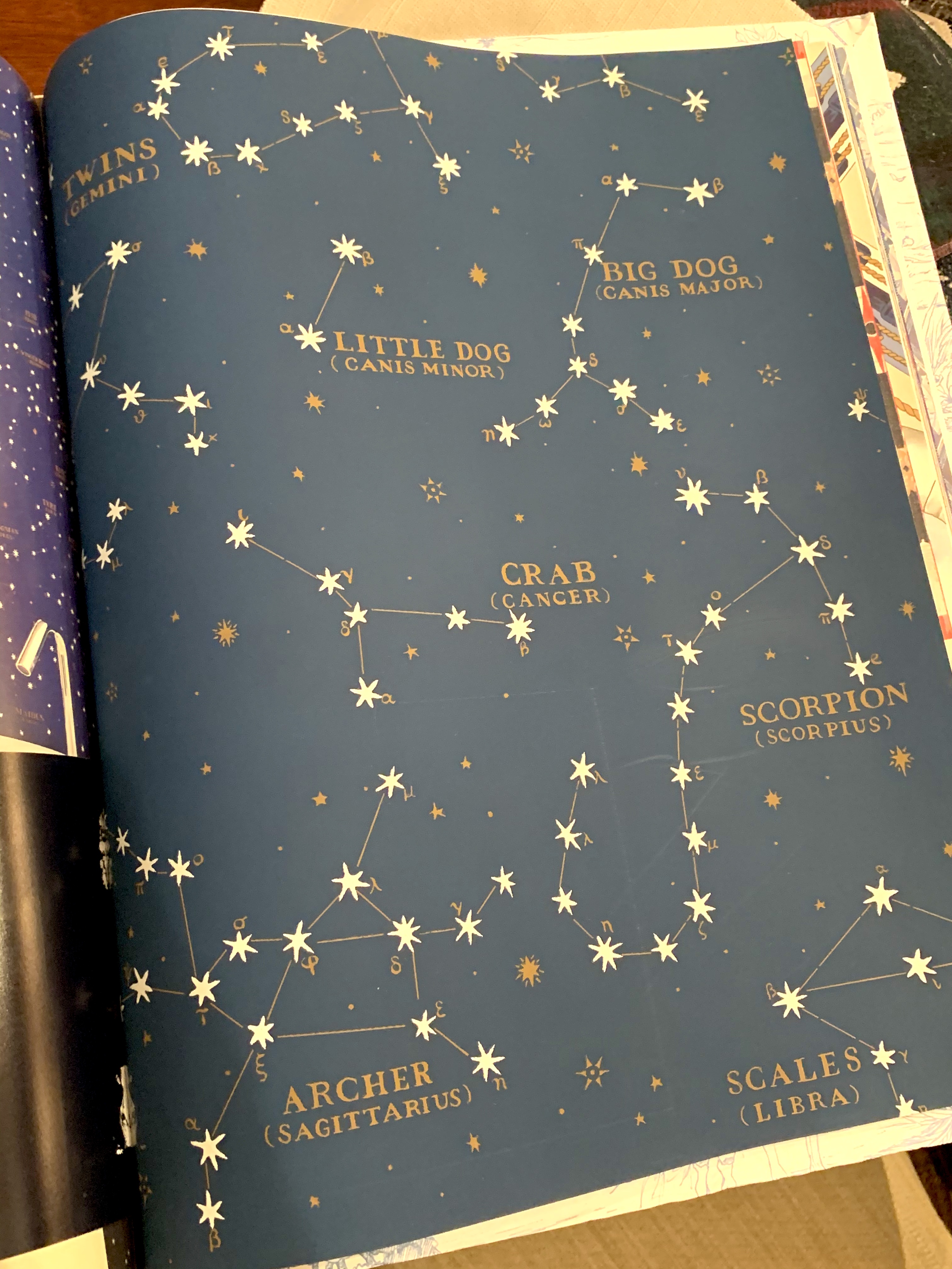 Northern Hemisphere Wallpaper in Color I Didn't Want