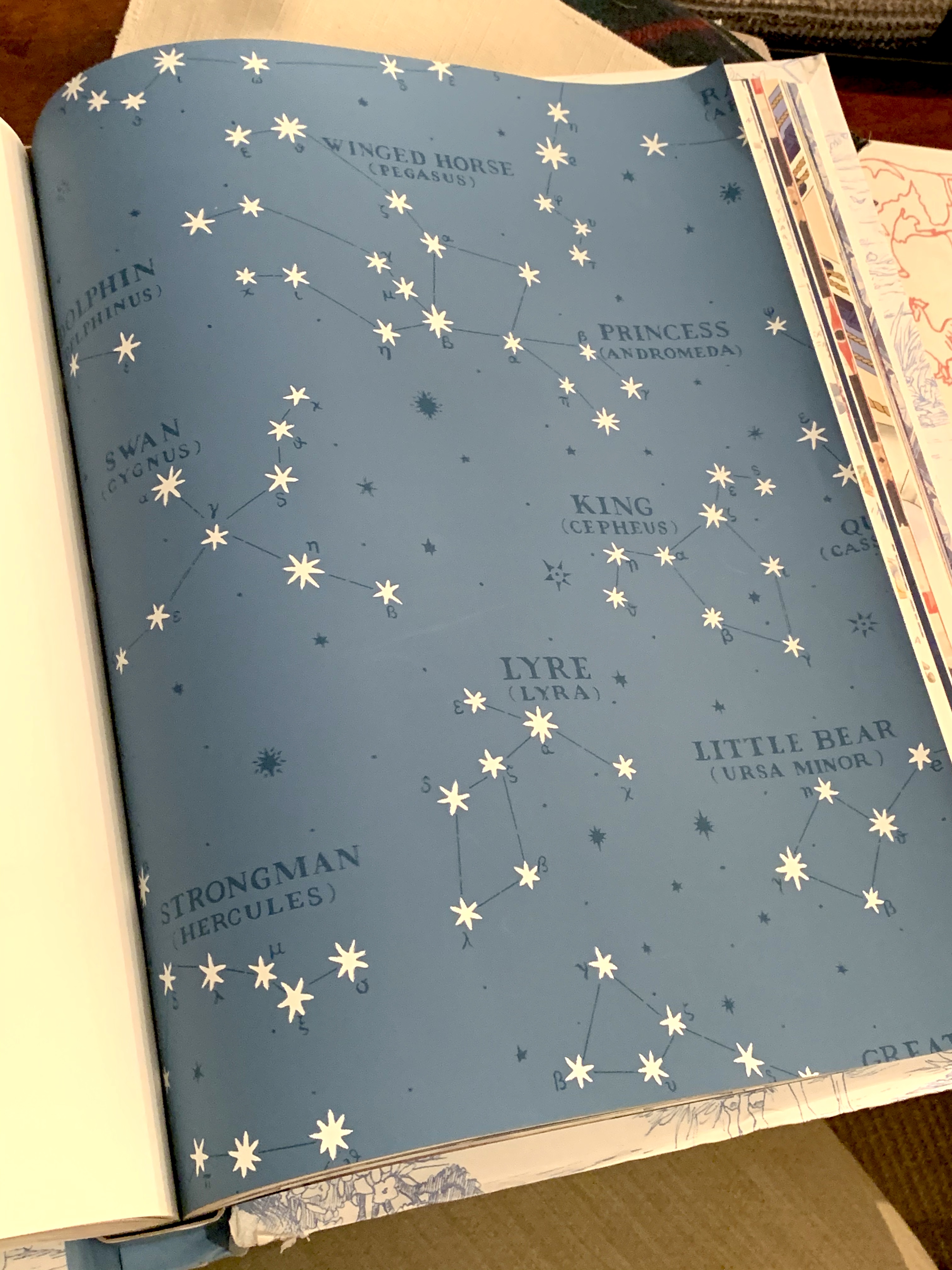 Northern Hemisphere Wallpaper in the Color I wanted