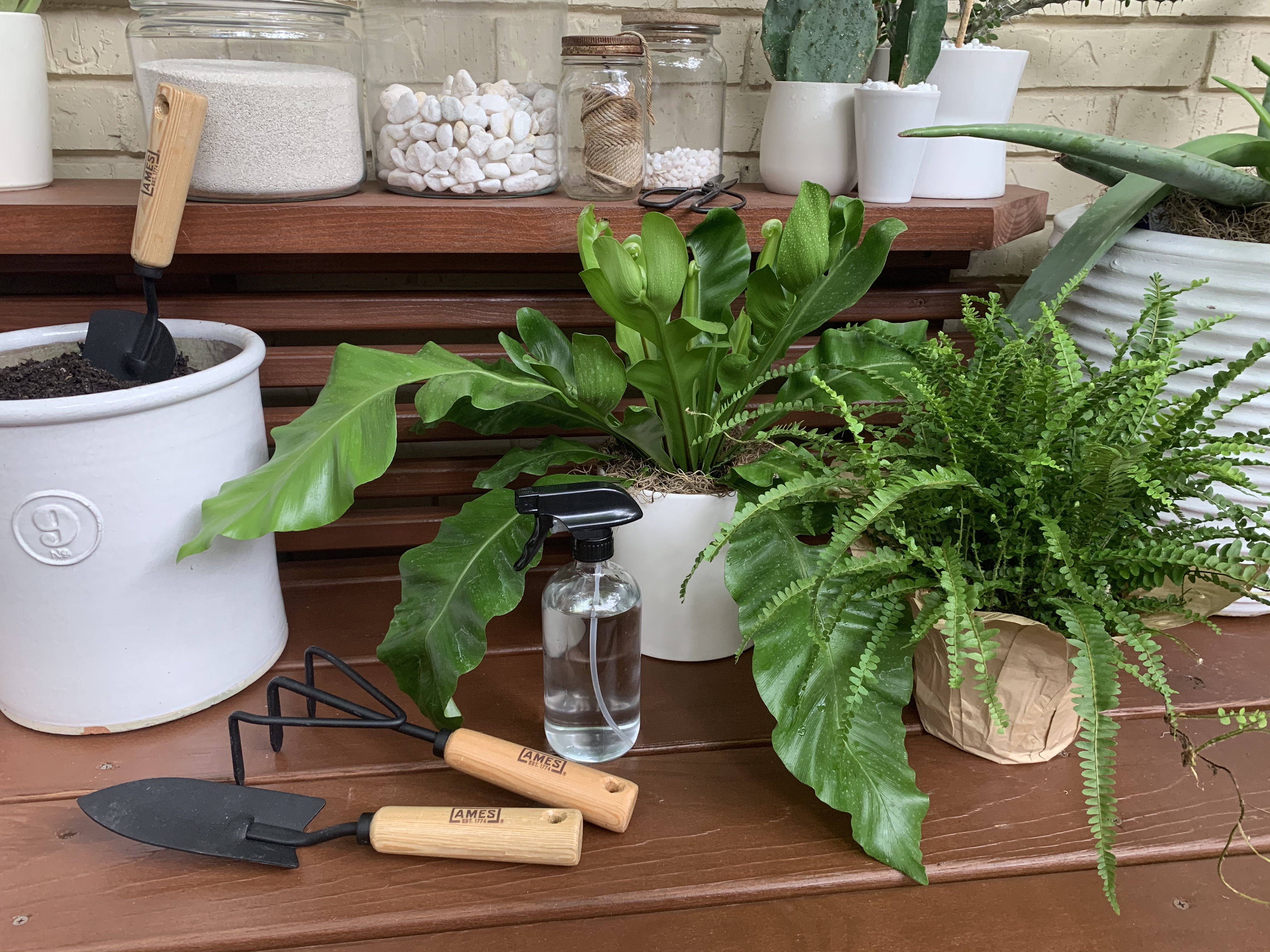 New Potting Bench to Pot Ferns